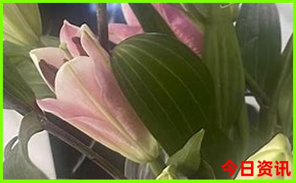 云南什么季节去最好